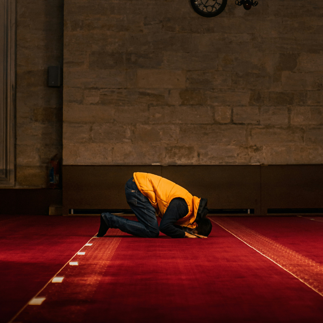 Image hover effect image