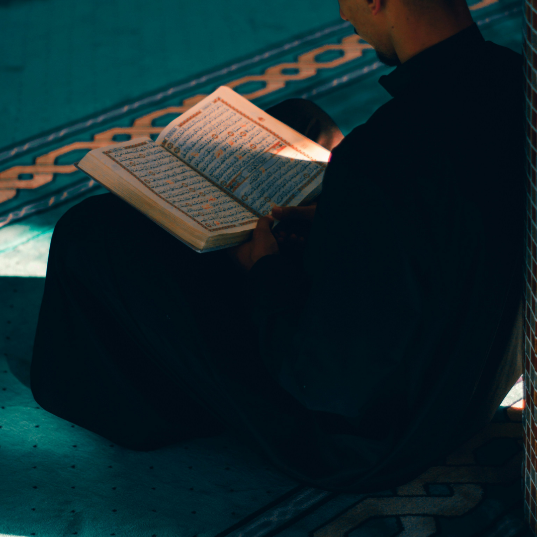 Image hover effect image