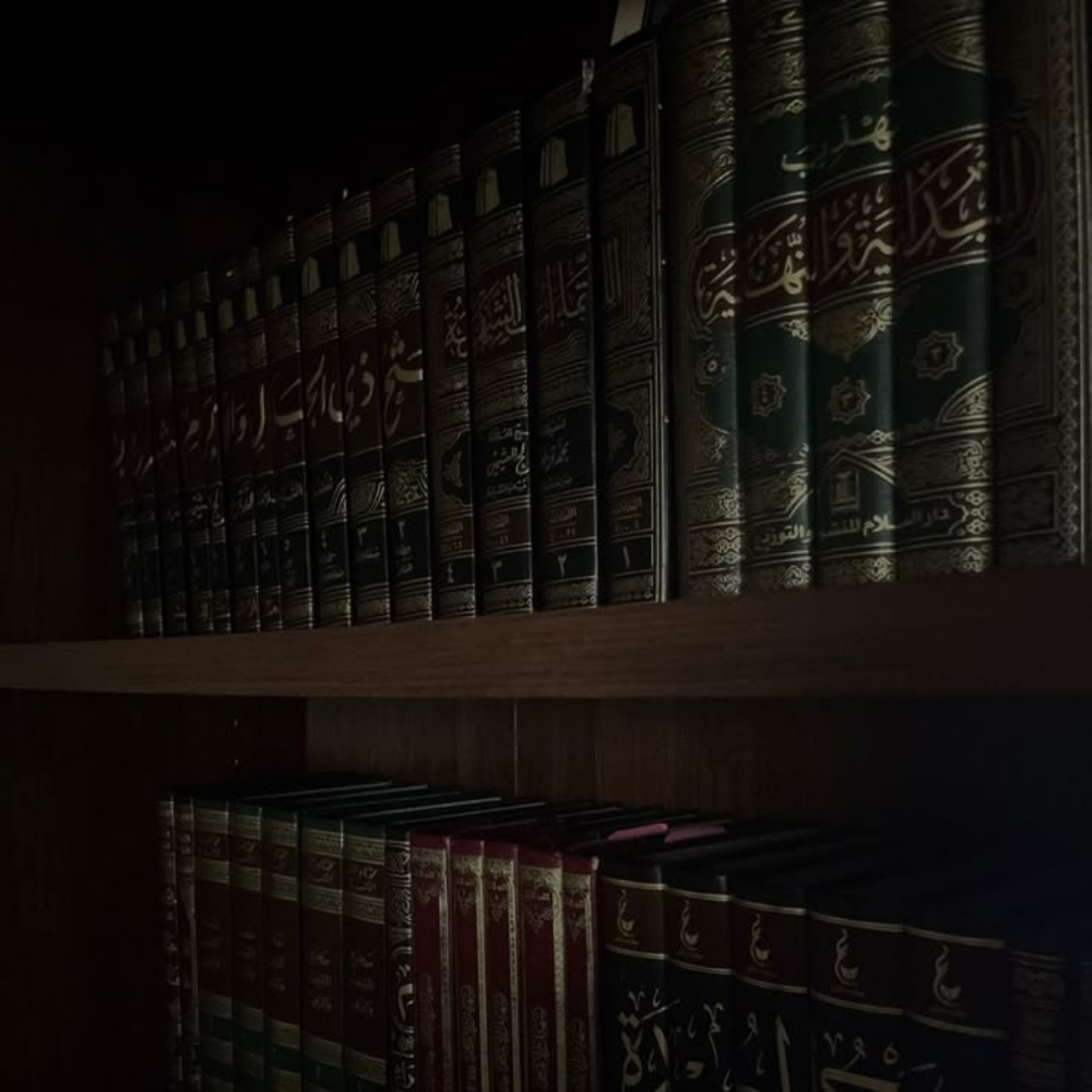 Image hover effect image